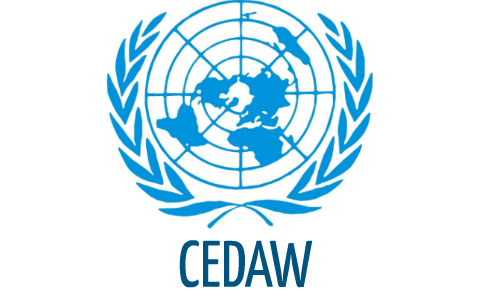 CEDAW Comité para la Eliminación de la Discriminación contra la Mujer